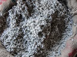 Cotton Seed Meal
